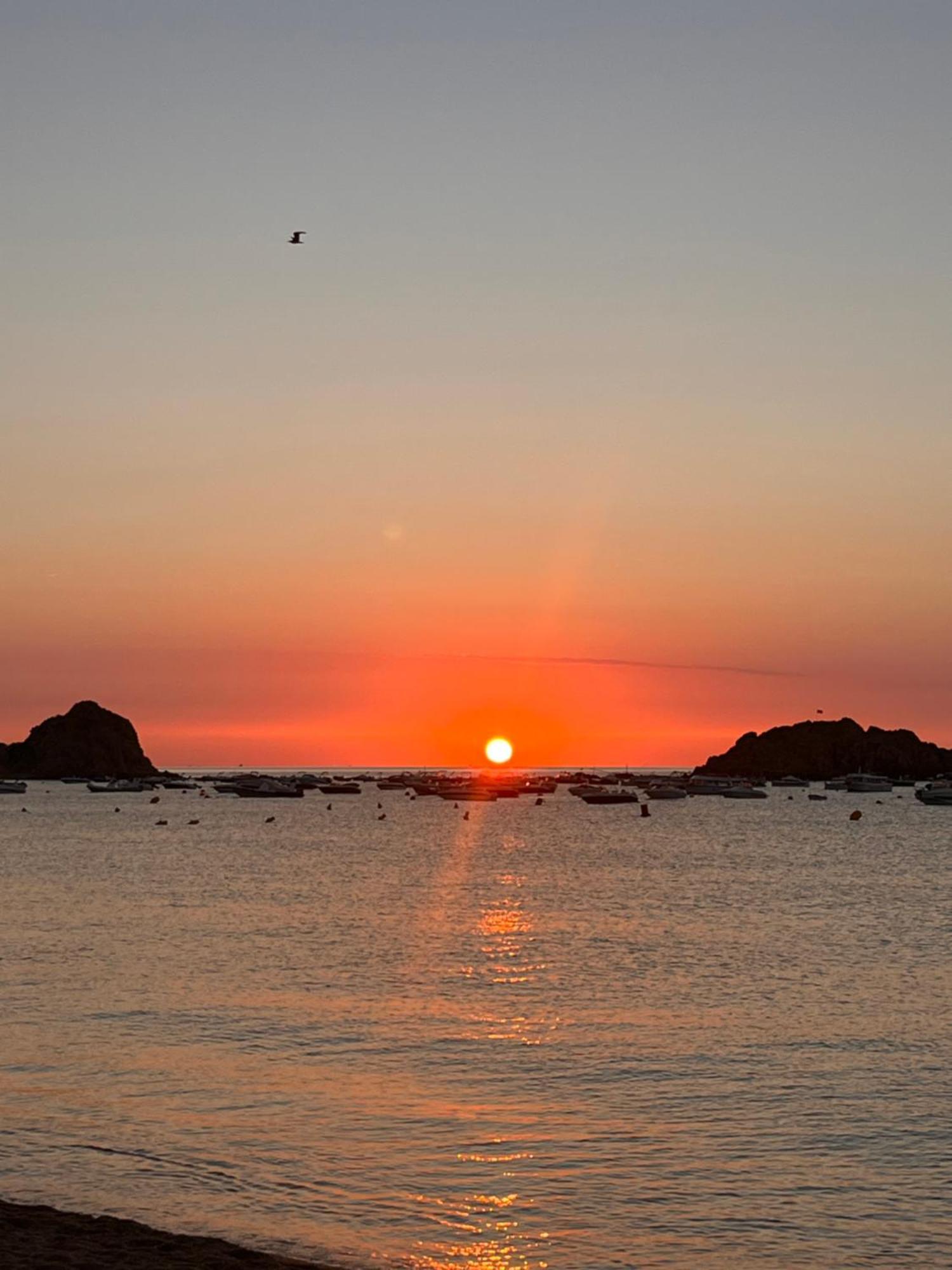 Tossa De Mar - Tropicana ภายนอก รูปภาพ